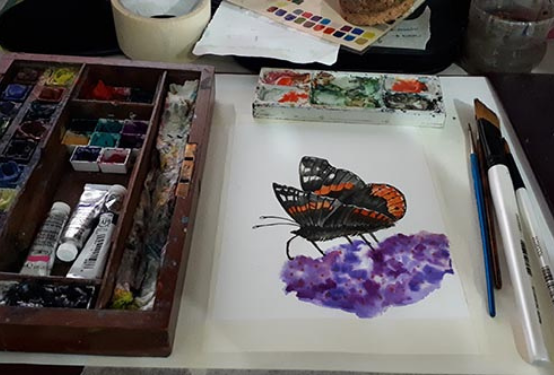 Core Skills- Watercolour- Paint a Butterfly (Access to video tutorial)