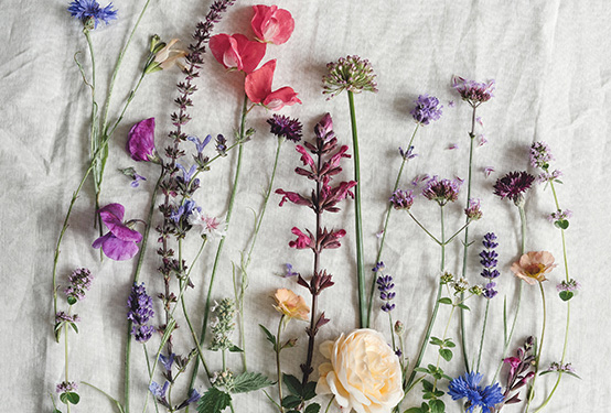 Julie Skelton- photographer