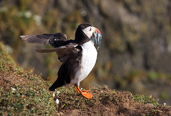 Introduction to Photography: Get to Know your Camera