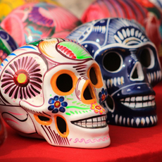 Autumn brochure: two skulls; one white and one navy blue. Elaborately decorated with bright colourful patterns in green, orange, pink and red.