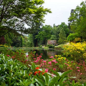 View of a lake, with green plants and pink, red and yellow flowers in the foreground. The lake is surrounded by trees and a small building on the edge of the water.