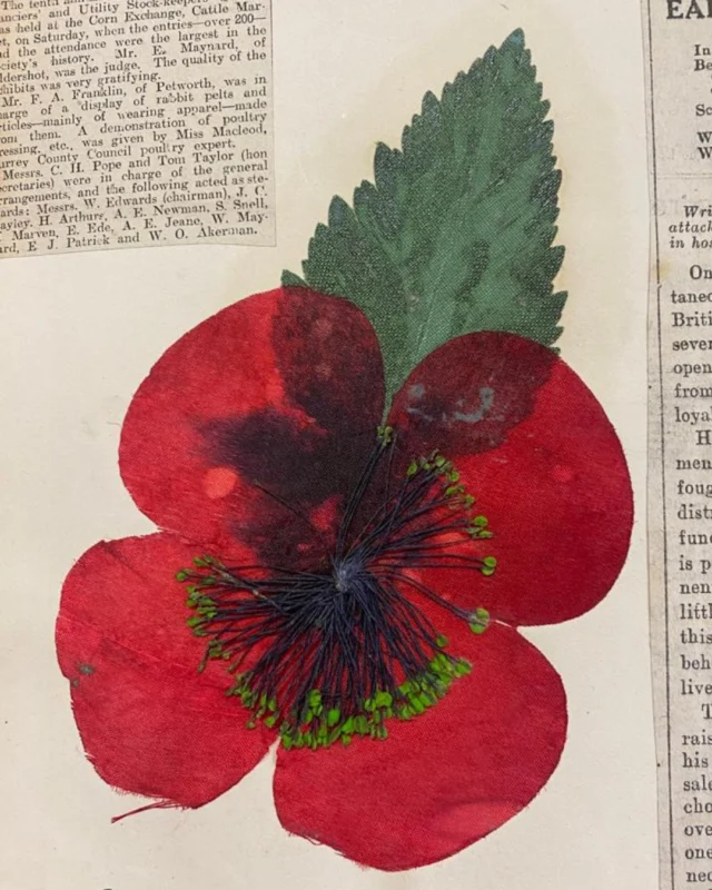 On #RemembranceDay, we pause to honour the brave men and women who gave their lives for our freedom. 

Our Archive contains a very special item - pictured here is one of the first poppies made for Britain’s first Poppy Appeal in November 1921. They sold out almost immediately, raising over £106,000 to support World War I veterans with employment and housing. 

Over 100 years later, the poppy remains an important symbol of Remembrance.

#guildford #surrey #remembrancepoppy #poppyappeal #armisticeday #archive